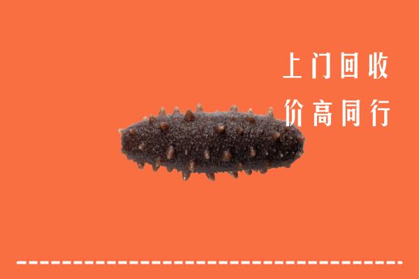 高价求购：河源市源城回收海参