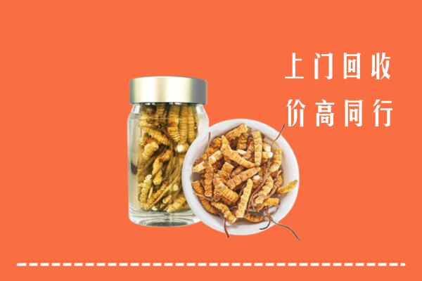 河源市源城回收冬虫夏草